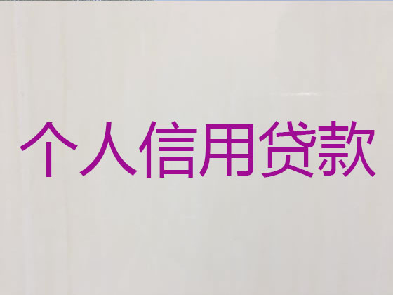 临安抵押贷款公司-信用贷款